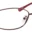 A pair of glasses is shown with the same color as the rim.