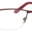 A pair of glasses is shown with red frames.