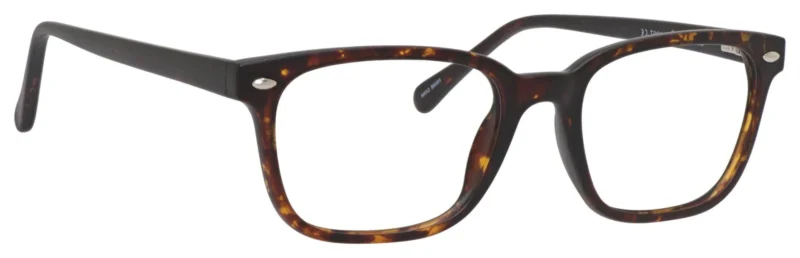 A pair of glasses is shown with the same frame.