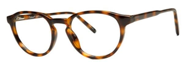 A pair of glasses is shown with the frame in focus.