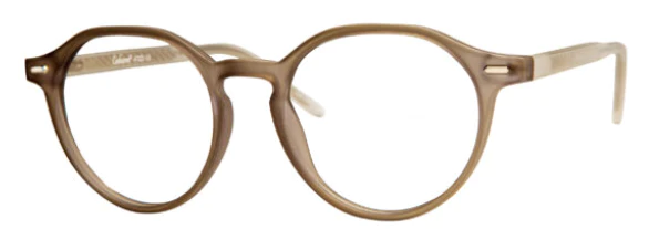 A pair of glasses is shown in this picture.