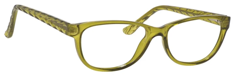 A pair of glasses is shown in this picture.