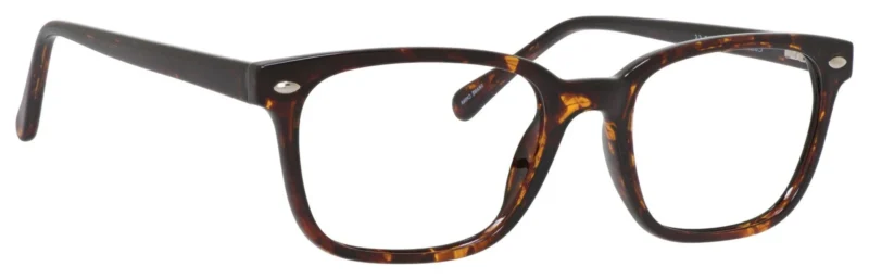 A pair of glasses is shown with the frame in focus.