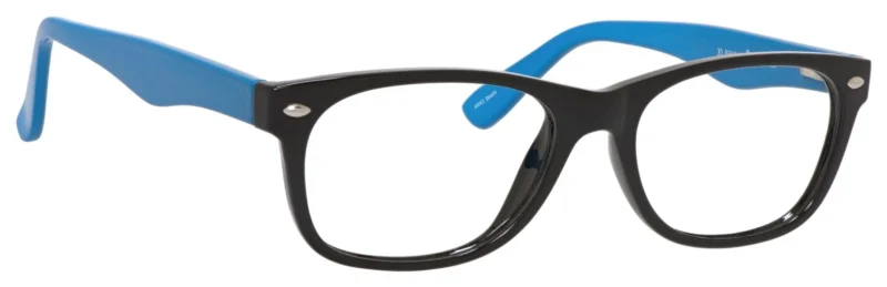 A pair of glasses is shown with blue tips.