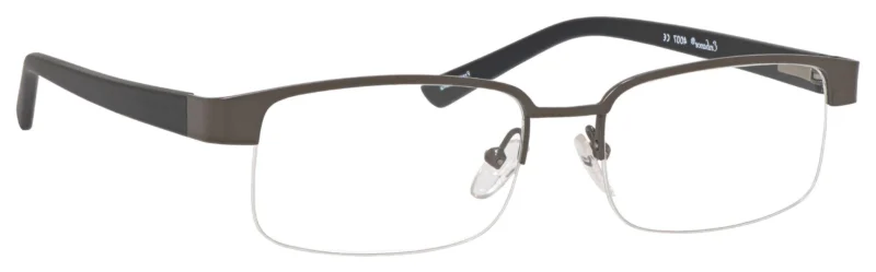 A pair of glasses is shown with the same lens.