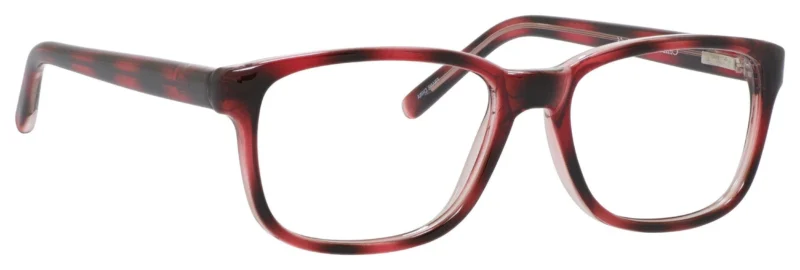 A pair of glasses is shown with the frame in focus.