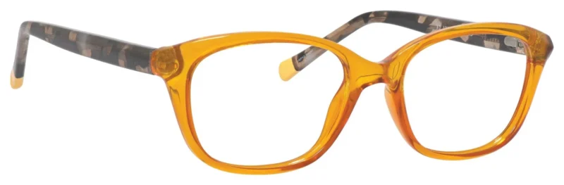 A pair of glasses is shown with the same color as the frame.