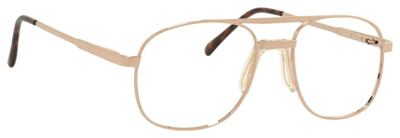 A pair of glasses is shown with the frame in focus.