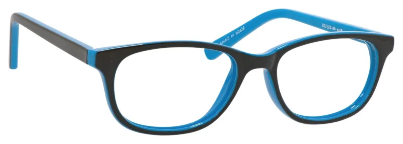 A pair of glasses is shown with blue frames.