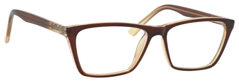 A pair of glasses is shown with the frame on.