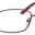 A pair of glasses is shown with the same color as the rim.