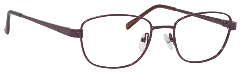 A pair of glasses is shown with the same color as the rim.