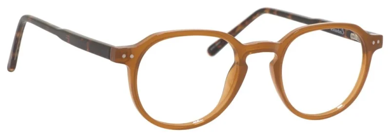 A pair of glasses is shown with the frame in focus.