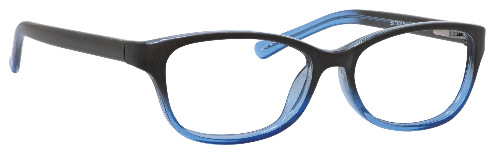 A pair of glasses is shown with blue frames.