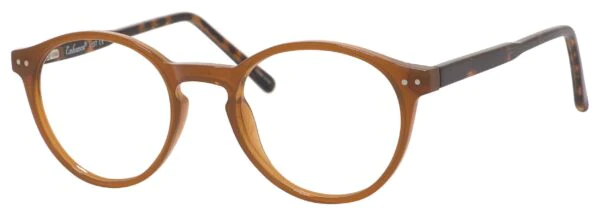 A pair of glasses is shown with the frame in focus.