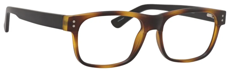 A pair of glasses is shown with no background.